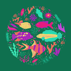 Set of colorful various wildlife fishes and algaes in circle on black background. Collection of marine elements in hand drawn undersea world. Sea background. Aquarium. Vector illustration