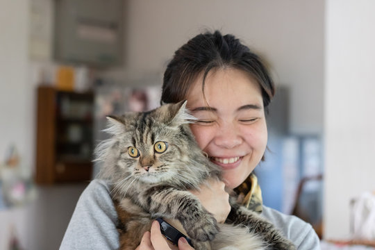 Young Asian woman is hugging a persian cat with indoor scene, human-animal relationships.