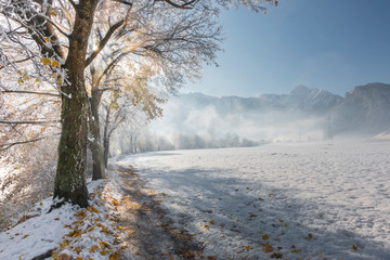Wintereinbruch an einem herbstlichen Wanderweg im Zillertal in Tirol