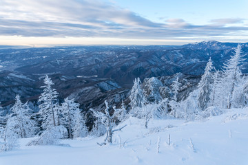 Obraz premium Heavy winter in the Cozia Mountain, part of the Carpathian Mountains.