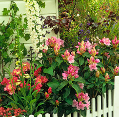 A colourful flower border around a cottage garden in summer