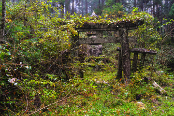 Okunoin Cemetery - Koya Mountain