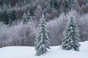 Heavy winter in the Cozia Mountain, part of the Carpathian Mountains.