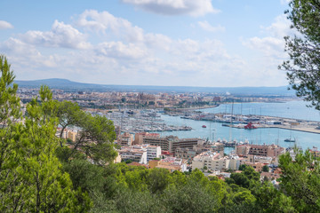 Naklejka premium View of the bay with yachts in Palma de Mallorca