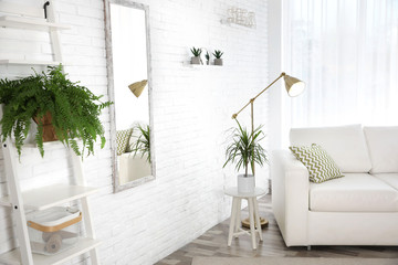 Fototapeta na wymiar Stylish room interior with green home plants