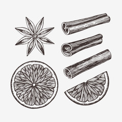 Hand drawn winter food illustration. Vector drawings of orange slices, anise and cinnamon