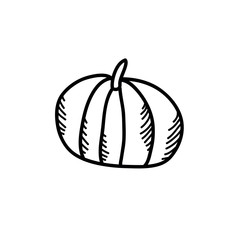 pumpkin doodle icon, vector illustration