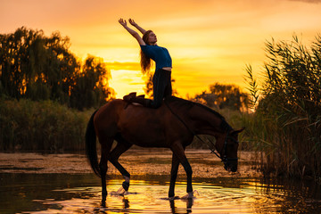Silhouetted a slender girl practicing yoga on horseback, at sunset the horse stands in the lake....