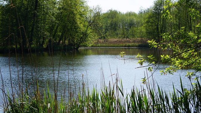 przyroda