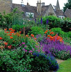 Colourful summer border at a Country House Garden with Oriental Poppies, Nepeta, Delphiniums and Geraniums