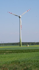 przyroda © Magorzata