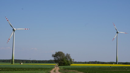 przyroda © Magorzata