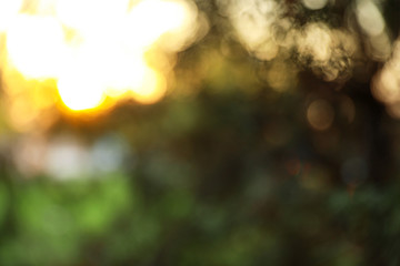 Obraz premium Blurred view of autumn landscape. Bokeh effect