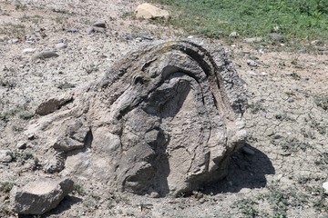 Big old lava stone on the ground. 