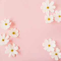 Fototapeta premium Minimal styled concept. White daisy chamomile flowers on pale pink background. Creative lifestyle, summer, spring concept. Copy space, flat lay, top view.