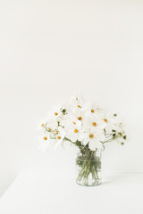 A beautiful background with white chamomile, daisy flowers in vase standing on white table. ...