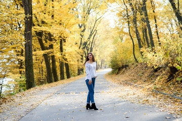 Autumn landscape. Woman in casual wear posing in park with yellow leaves