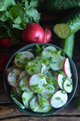 Salad with radish and green cucumber