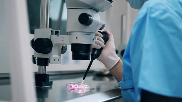 Liquids are being observed under a microscope by the medical lab worker