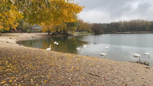 Panoramic view of Lake Drazdiak in Petrzalka in Bratislava, Slovakia
