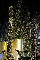 Christmas and palm trees decorated with colorful sparkling lights at night