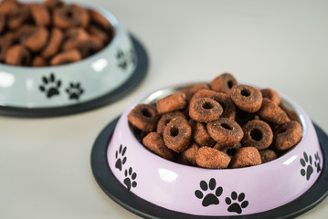 Dog food in bowl on wooden table
