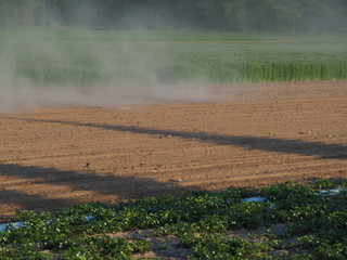 OLYMPUS DIGITAL CAMERA © Magorzata