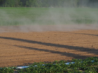 OLYMPUS DIGITAL CAMERA © Magorzata