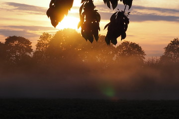 OLYMPUS DIGITAL CAMERA © Magorzata