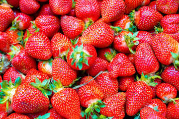 background from freshly ripe strawberries
