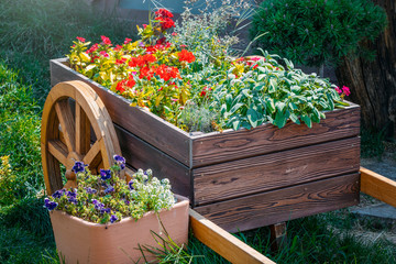 wooden cart full of colorful flowers in garden