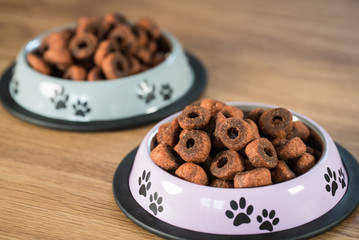 Dog food in bowl on wooden table