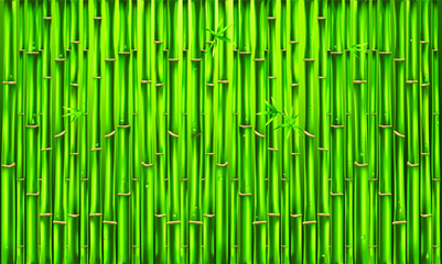 Green bamboo fence, vector texture background, bamboo panora
