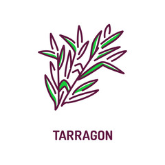 Fototapeta na wymiar Tarragon branch color line icon. Herbs and spices. Cooking ingredient.