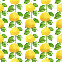 Watercolor yellow lemon branch and leaves seamless pattern. Hand drawn plants isolated on white background. Botanical illustration for design and decoration, cards, wrapping, textile.
