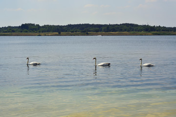 Zbiornik wodny Pogoria IV © ChemiQ