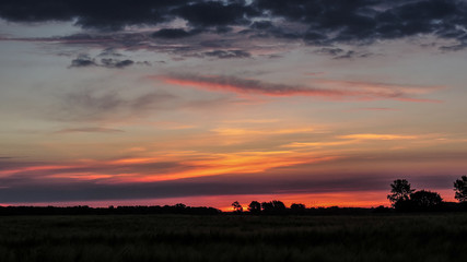 Sonnenaufgang auf dem Feld 