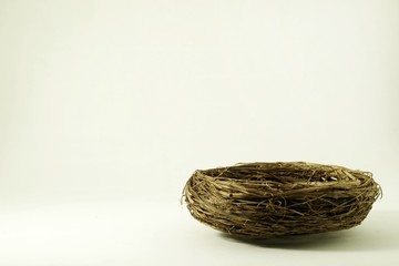 Bird's nest and egg on a white scene.