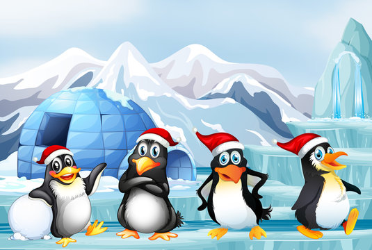 Scene with penguins with christmas hat