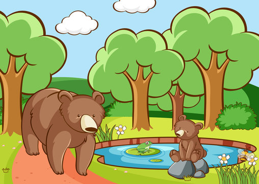 Scene with bears in forest