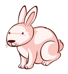 Fototapeta na wymiar Pink rabbit on white background