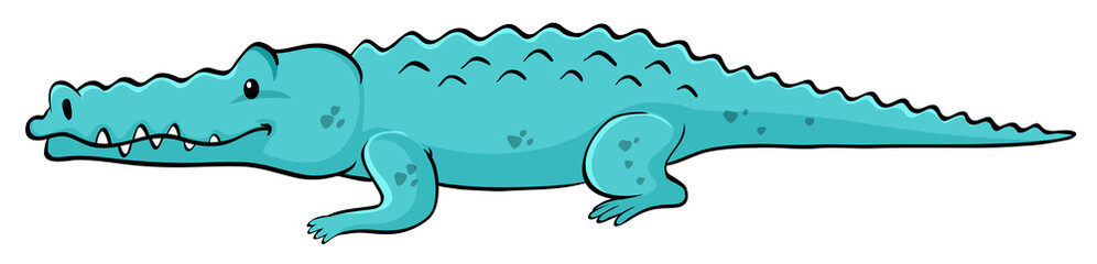 Obraz premium Blue crocodile on white background