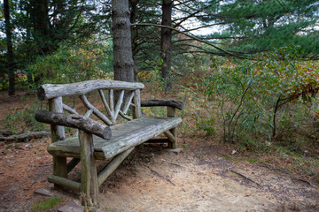 woodland bench autumn along trail us national arboretum washington dc usa