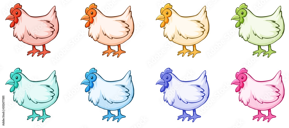 Wall mural Isolated set of chicken in many colors