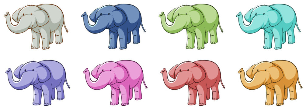 Isolated set of elephants in different colors