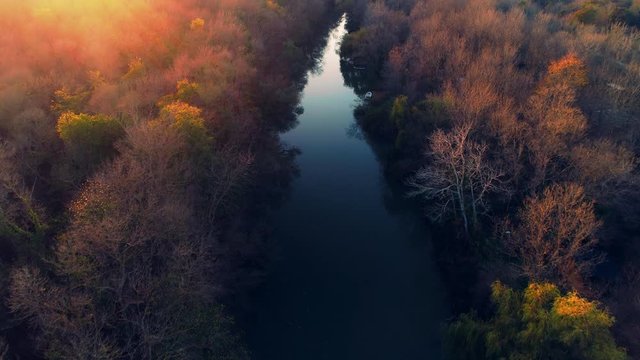 Aerial drone view over the river and autumn trees from the forest 