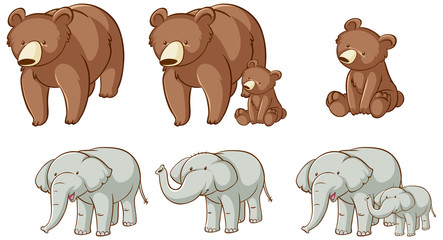 Fototapeta premium Isolated picture of bears and elephants