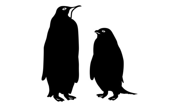 two penguins silhouette vector