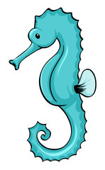 Blue seahorse on white background