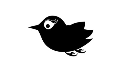 Bird flying / Sparrow 